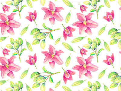 Лилии в акварели design illustration акварель букет зеленый лилии лилия природа растения розовые цветы розовый цветы цветы в акварели цветы для дам