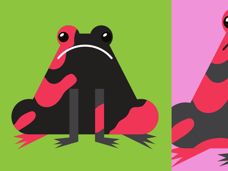 Frog Patterns animal illustration vector