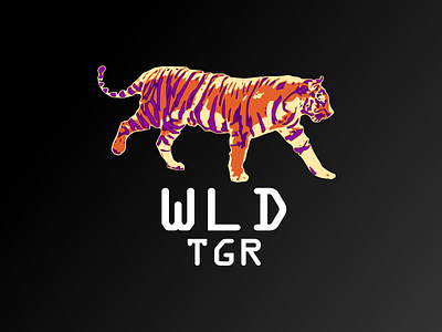 Wild Tiger animal design illustration logotype tiger vector