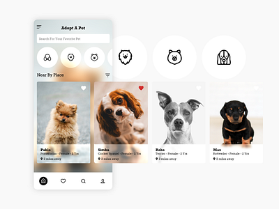 Adopt A Pet adobe xd app design madebyadobexd mobile ui ui design