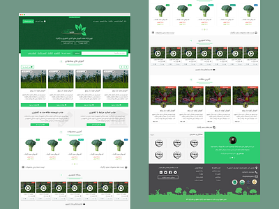 وب سایت فروش محصولات غذایی ارگانیک organic food shop website design organic organic food organic food web ui ui design ui ux uiux ux ux design uxdesign web website xd xd design
