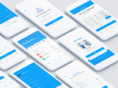 Mobile Money App Concept