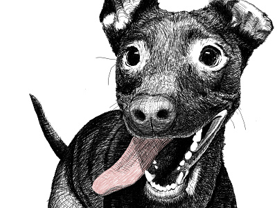 Minduca :) animal art art artwork childrens illustration digital drawing drawing illustration pet pets printing