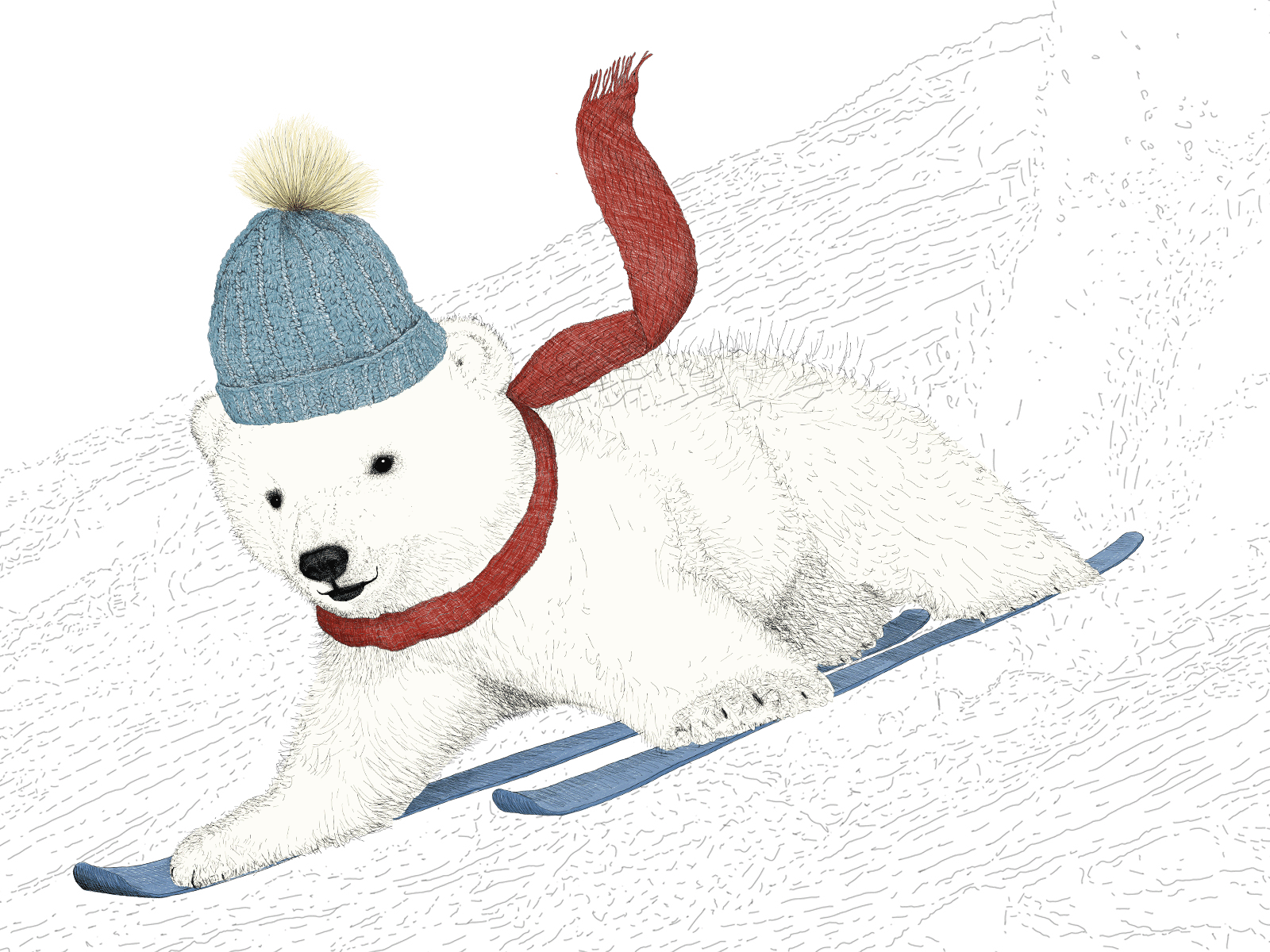 Skiing Baby Bear Illustration GIF animated gif animation baby baby bear bear bears children childrens illustration illustration illustrator ski skiing snow winter games