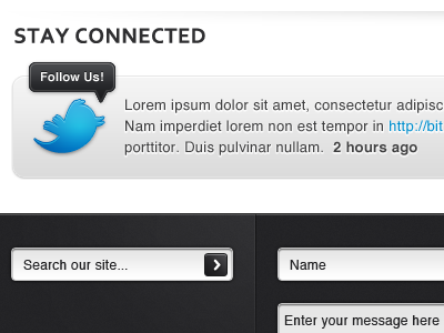 New Functional Footer clean footer forms search shading social twitter website