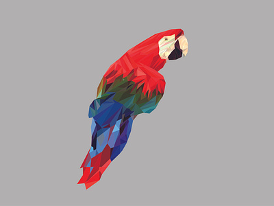 Cockatoo bird bird icon bird illustration bird low polyline bird of paradise bird vektor cockatoo cockatoo low poly line cockatoo vektor illustration kakak tua low poly low polygon lowpoly lowpolyart lowpolygon vectorart vektor