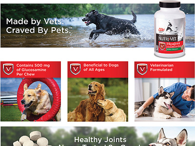 NutriVet Amazon Content Images art direction content design photo manipulation