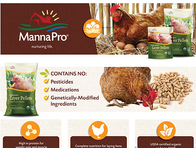 Manna Pro Organic Layer A+ Ad hens manna pro poultry products