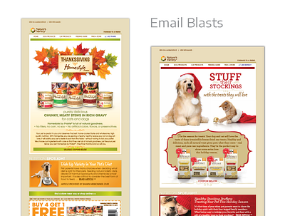 Email Marketing email design email marketing pet food pet treats