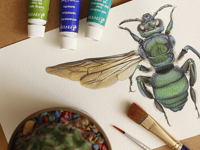 Bee illustration illustration paint science watercolor