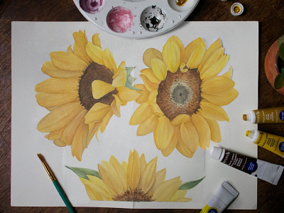 Sunflowers flowers illustration paint science sunflower sunflowers watercolor