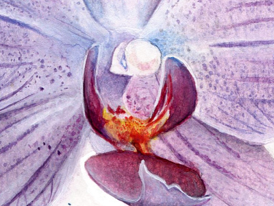 Watercolor Violet Orchid