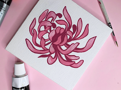 Pink chrysanthemum