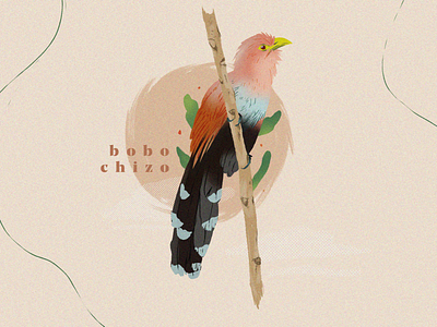 Bird illustrations #1 animal graphic design illustration