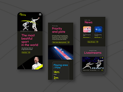 Fencing Sport Website Concept