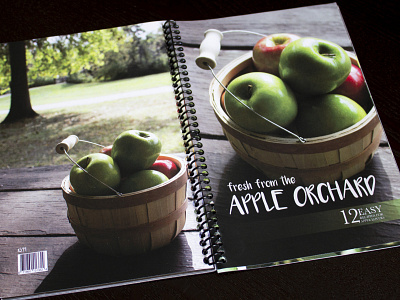 Cookbook Cover and Back design photogrpahy typography