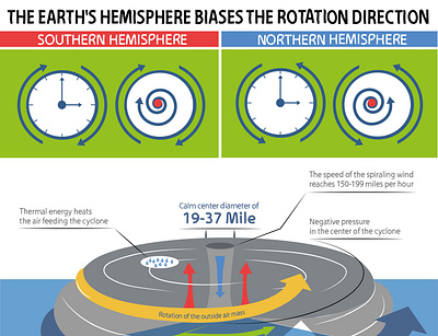 A typhoon is a mature tropical cyclone earth hemisphere illustration infographic northern southern vector
