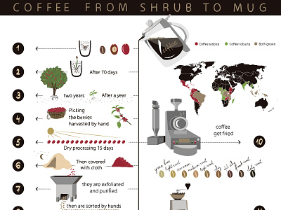 coffee coffee infographic mug