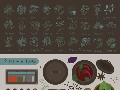 spices and herbs of the world and hurbs infographic plants spice spices