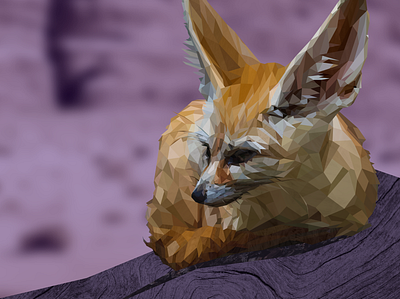 Naranja - Fennec Fox animal collage desert design fennec fox fox illustration lowpoly nature texture
