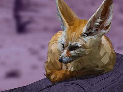 Naranja - Fennec Fox