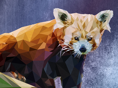 Macaroni the Red Panda animal collage illustration lowpoly nature red panda texture vector