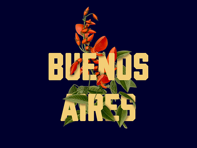 National Flower botanic buenos aires design flowers illustration photoshop typography