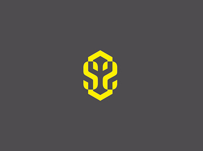double S double s logo hexagonal logo monogram ss logo typogaphy yellow logo