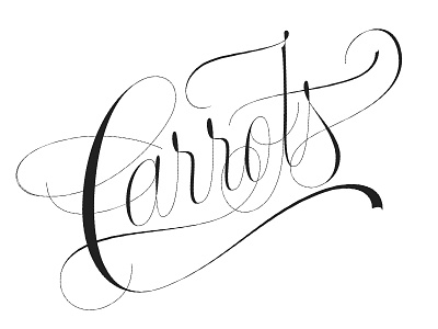 Carrots Logotype branding logo logotype typopgraphy