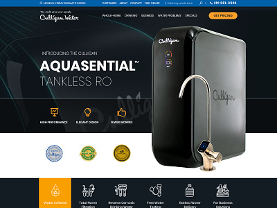 Website template for water filter company