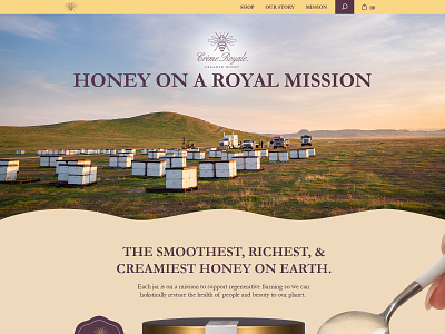 Website template design for Honey Farm company