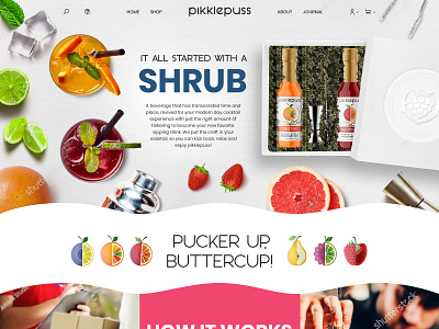 ecommerce website template for pickle selling company