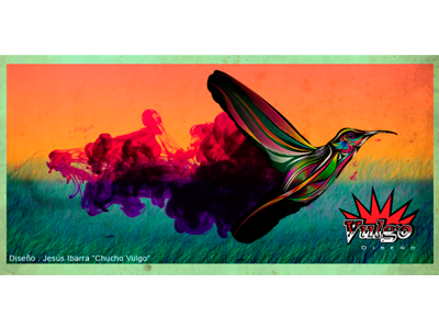 Magic Humming Bird hummingbird birds illustrator photoshop magic colorfull