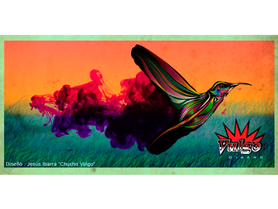 Magic Humming Bird birds colorfull hummingbird illustrator magic photoshop