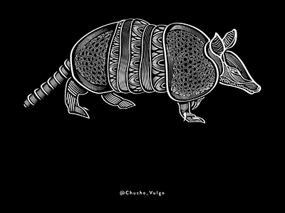 Ethnic Armadillo