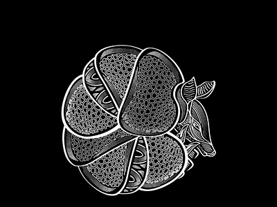 Armadillo animal armadillo ethnic illustration