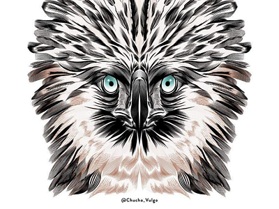 Philippine Eagle animal ave birds eagle illustration nature wild