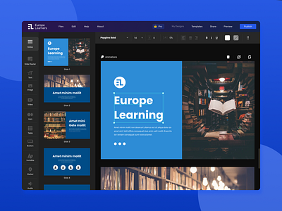 Europe Learnings branding design presentation design ux web web tool