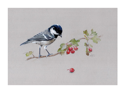Coal Tit винтаж иллюстрация интерьер открытка природа птица реализм синица энциклопедия ягоды