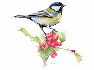 Great Tit