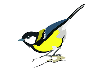 Great Tit design logo vector иллюстрация природа птица синица энциклопедия