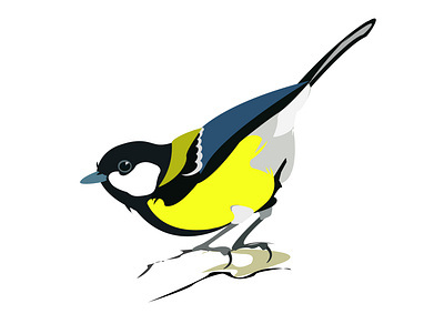 Great Tit design logo vector иллюстрация природа птица синица энциклопедия