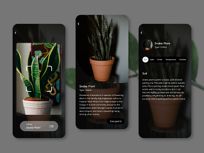 Plant Identifier App app concept design graphic design identifier mobile plant ui uiux ux