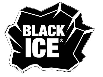 Black Ice Medallions Logo pt2 art blackice brand design graphic logo trademark vanguardbots vector
