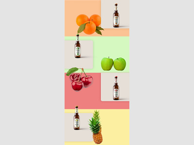 Hop fruit beer beer branding illustration product design