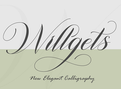 Wilgets branding graphic design logo motion graphics