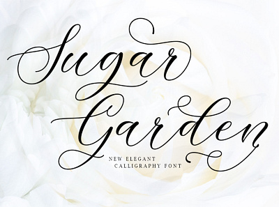 Sugar Garden branding graphic design logo motion graphics