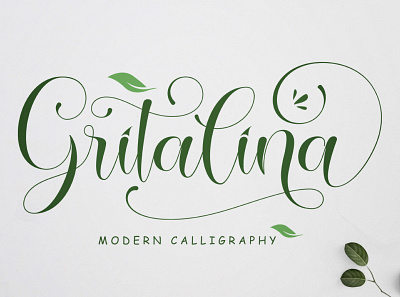 Gritalina branding graphic design logo motion graphics