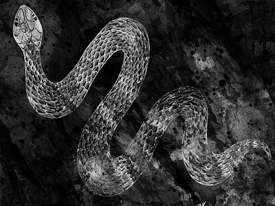 Snake black and white experiment quick scales sketch snake texture wip