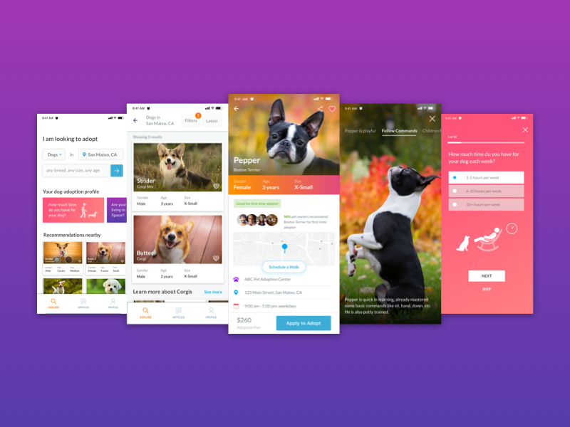 Pet Adoption Design by Jingyu Wu on Dribbble